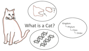 发展您的数学直觉